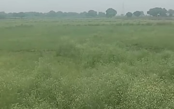 Plot For Sale in HathraS-Mathura Road
