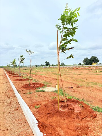 Plot Area in  Plot at ESR South Central, Subhanpur – for Sale