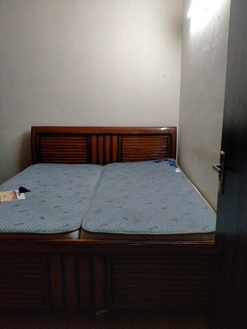 2 BHK Apartment For Rent in Tulip Lemon, Sector 69