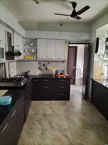 Kitchen in 4 BHK Apartment at Nimbus The Hyde park, Sector 78 – for Rent