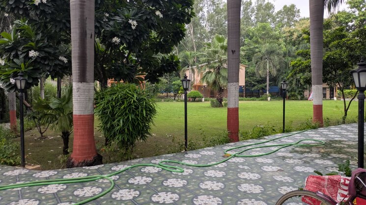 Garden, sector 135  1008 Sq.Yd. Plot In Sector 135 Noida 9101855