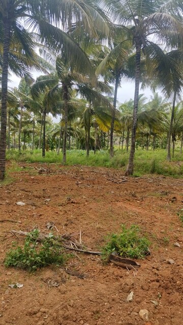  Plot For Sale in Thanisandra