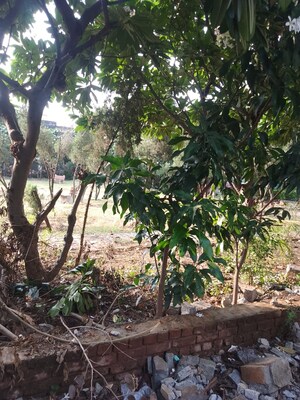 Plot Area in  Plot at Assotech The Canopy, Sain Vihar – for Sale