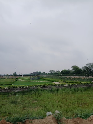 Plot – Garden View at Mansha Orchid, Sector 110 - for Sale