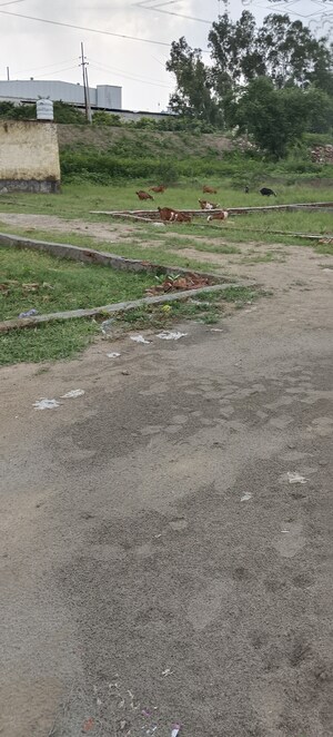 Plot Area in  Plot at Omaxe Galaxy, Sector 112 – for Sale