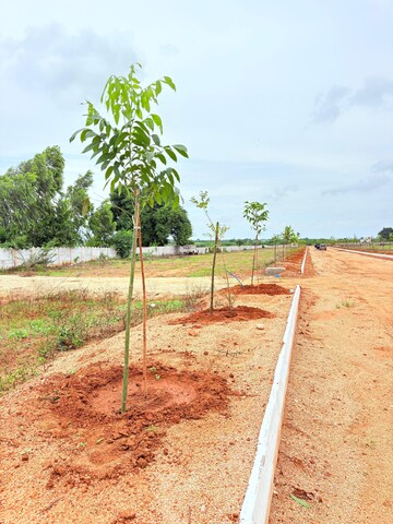 Plot Area in  Plot at ESR South Central, Subhanpur – for Sale