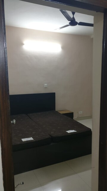 Room in 3 BHK Apartment at Vasant Kunj – for Rent