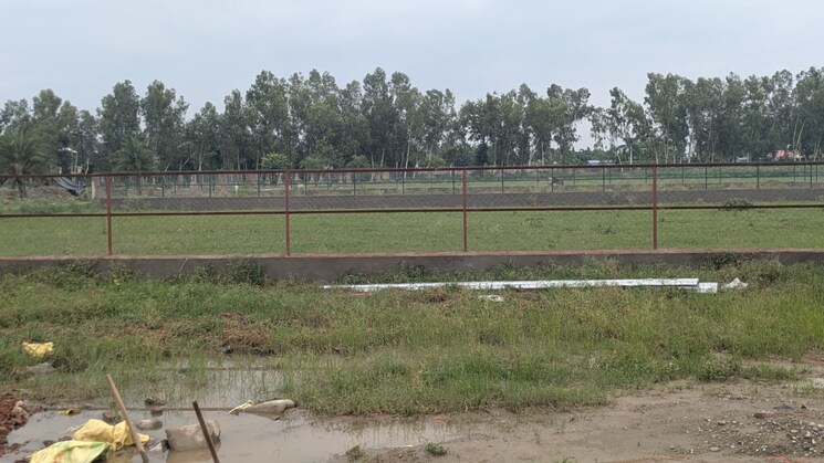 undefined, sector 135  2500 Sq.Ft. Plot In Sector 135 Noida 9103278