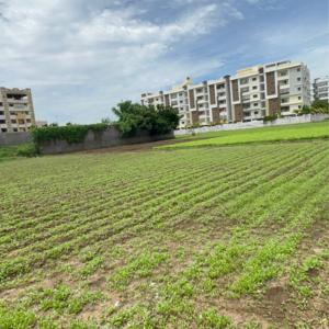  Office Space – Exterior View View at Tadepalli - for Sale