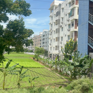  Office Space – Exterior View View at Tadepalli - for Sale