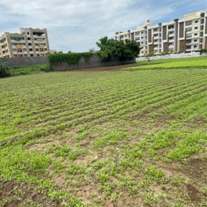  Office Space – Exterior View View at Tadepalli - for Sale