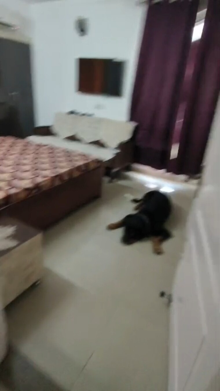 Room, stellar-jeevan 3.5 Bedroom 1695 Sq.Ft. Apartment In Sector 1 Greater Noida Greater Noida 9103674