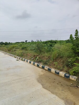 Plot Area in  Plot at Bithoor – for Sale