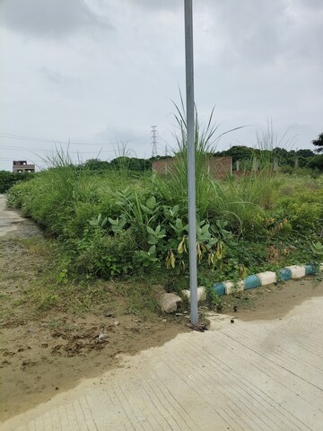 Plot Area in  Plot at Bithoor – for Sale