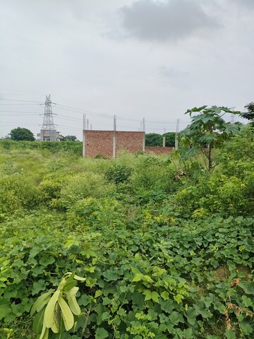  Plot – Exterior View View at Bithoor - for Sale