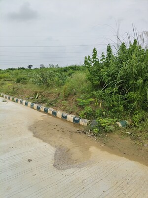  Plot For Sale in Bithoor