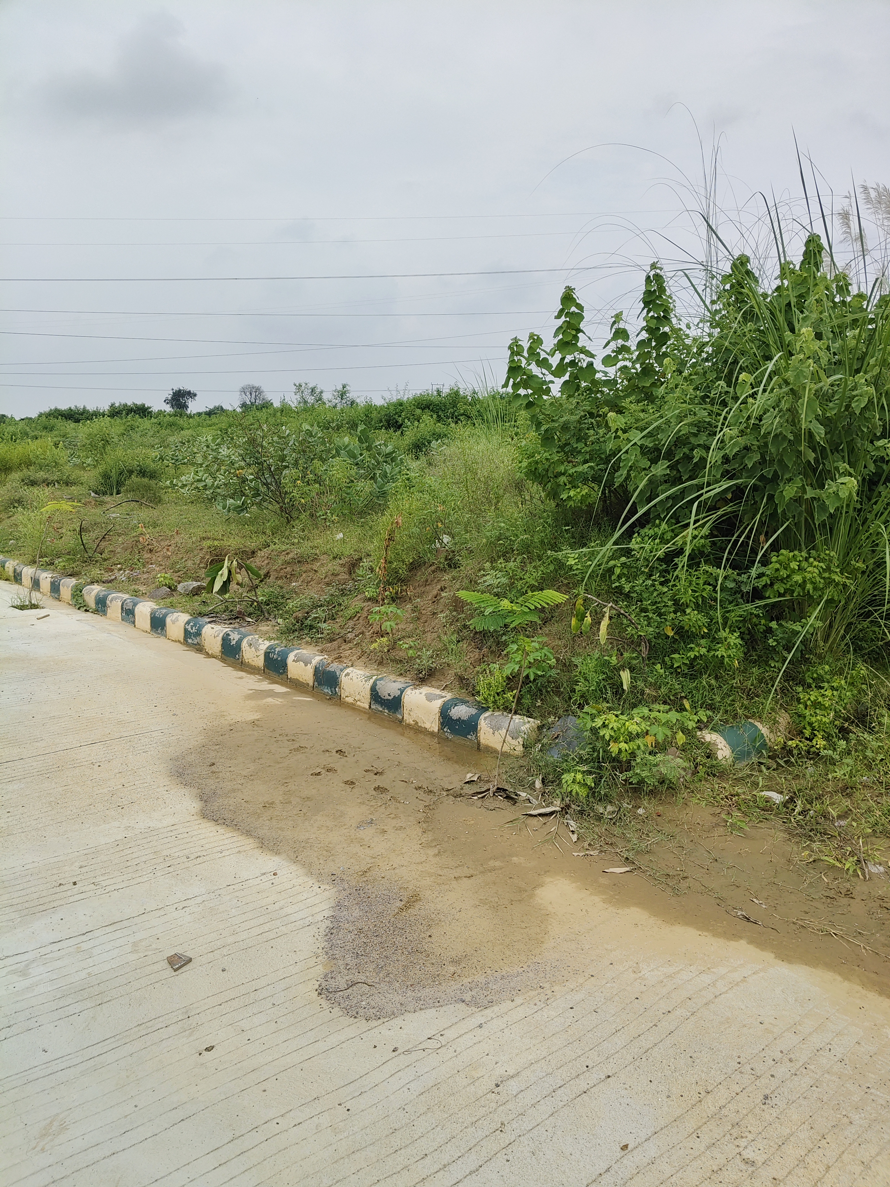 Plot For Sale in Shatabdi Vihar 