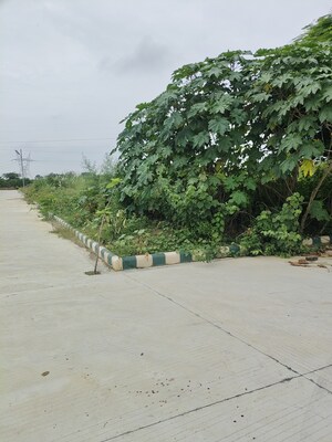 Plot Area in  Plot at Bithoor – for Sale
