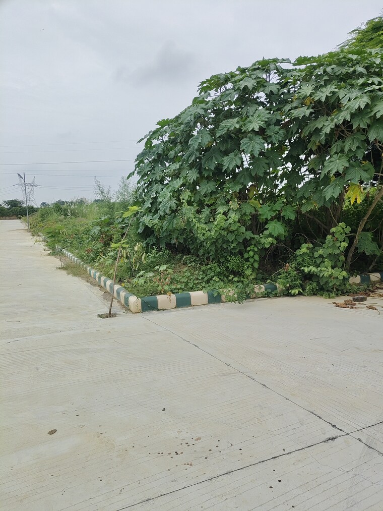 undefined, bithoor  100 Sq.Yd. Plot In Bithoor Kanpur 9103687