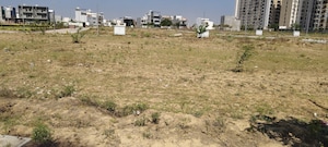 Plot Area in  Plot at Kingwood Enclave, Wave City – for Sale