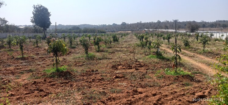 undefined, moinabad Commercial Land 2 Acre In Moinabad Hyderabad 9104161