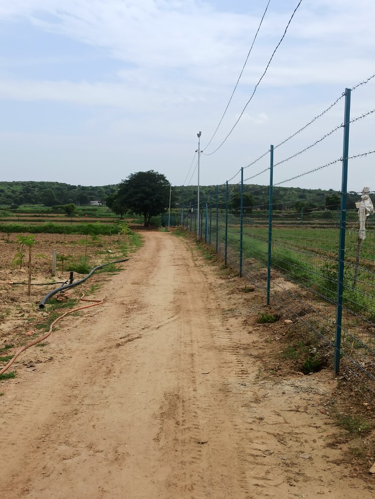 undefined, alwar bypass road Commercial Land 1250 Sq.Ft. In Alwar Bypass Road Alwar 9104199