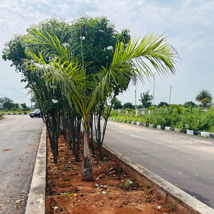 Exterior View, jb-nature-valley  271 Sq.Yd. Plot In Kothulapuram Hyderabad 9104267