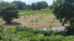  Land For Sale in Chevalla