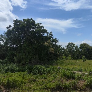 Plot Area in  Land at Chevalla – for Sale