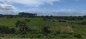 Plot Area in  Land at Chevalla – for Sale