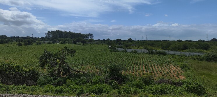 undefined, chevalla Commercial Land 10 Acre In Chevalla Hyderabad 9104317