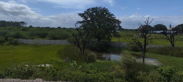 Plot Area in  Land at Chevalla – for Sale