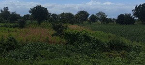  Land For Sale in Maheshwaram