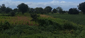  Land For Sale in Maheshwaram