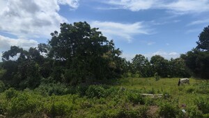  Land – Garden View at Maheshwaram - for Sale