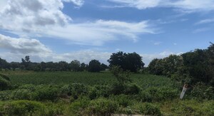 Plot Area in  Land at Maheshwaram – for Sale