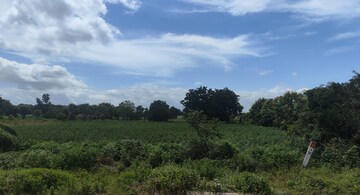 Plot Area in  Land at Maheshwaram – for Sale