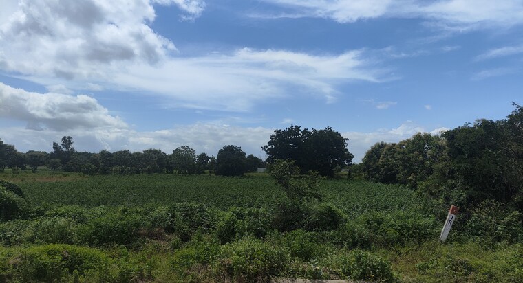 undefined, maheshwaram Commercial Land 15 Acre In Maheshwaram Hyderabad 9104459