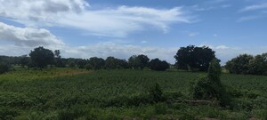 Plot Area in  Land at Maheshwaram – for Sale