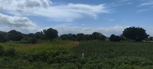 Plot Area in  Land at Maheshwaram – for Sale