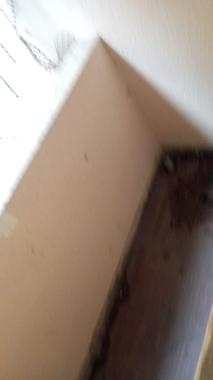 undefined, akashganga-complex-kavesar 2 Bedroom 650 Sq.Ft. Apartment In Kavesar Thane 9105087