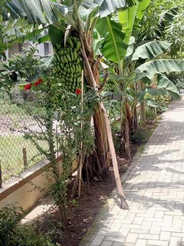 Balcony in 2 BHK Apartment at Vishwa Vinayak Residency, Baner – for Rent