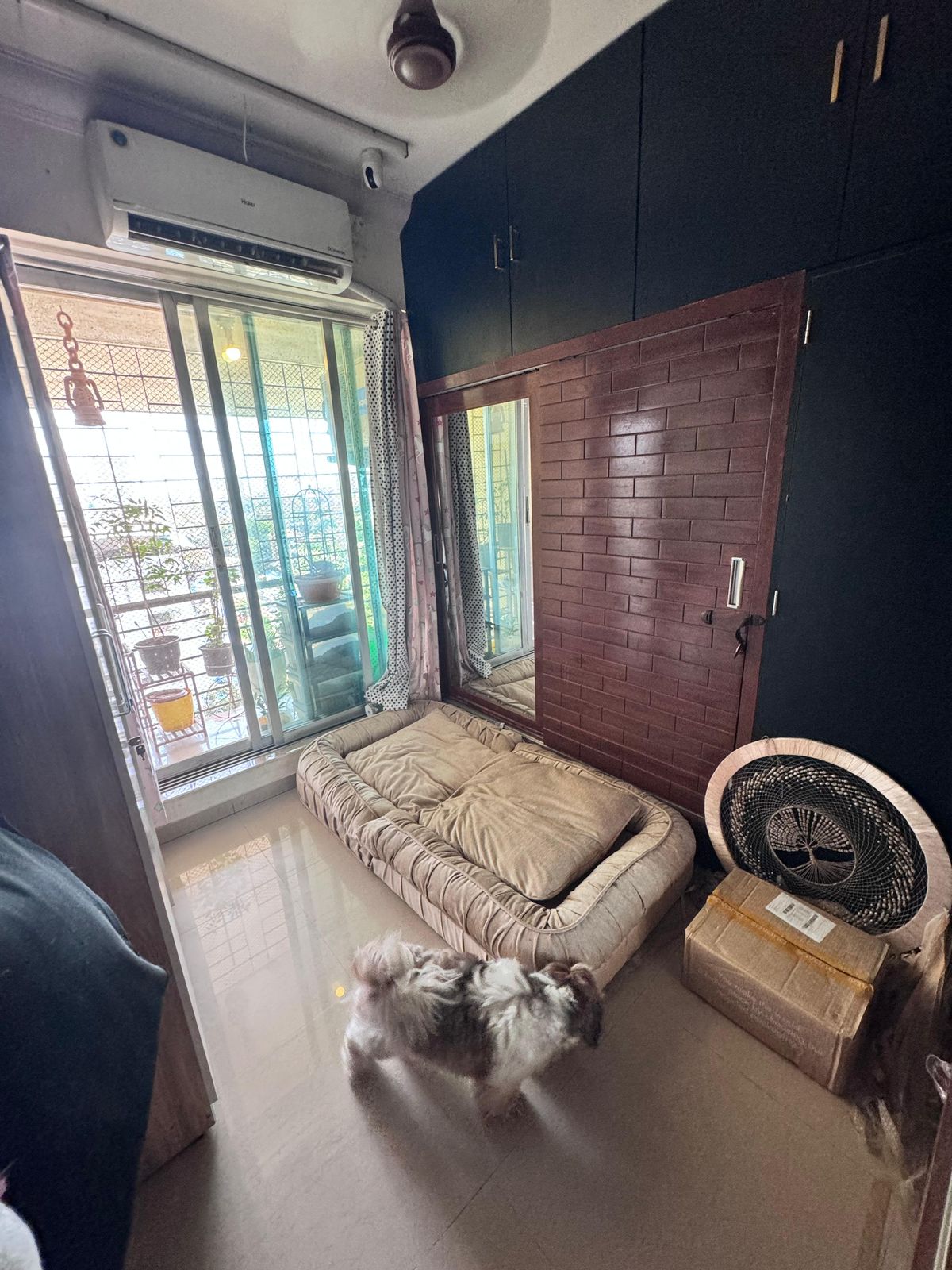 2 BHK 790 Sq.Ft. Apartment in Ratnagar CHS