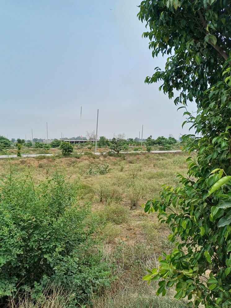 Garden, jewar  405 Sq.Yd. Plot In Jewar Greater Noida 9105720