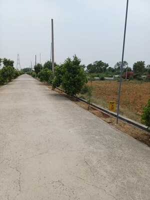  Plot For Sale in Jewar