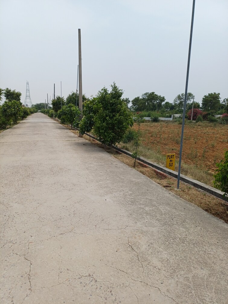 Cover Image, jewar  405 Sq.Yd. Plot In Jewar Greater Noida 9105720