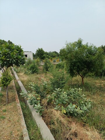  Plot – Garden View at Jewar - for Sale