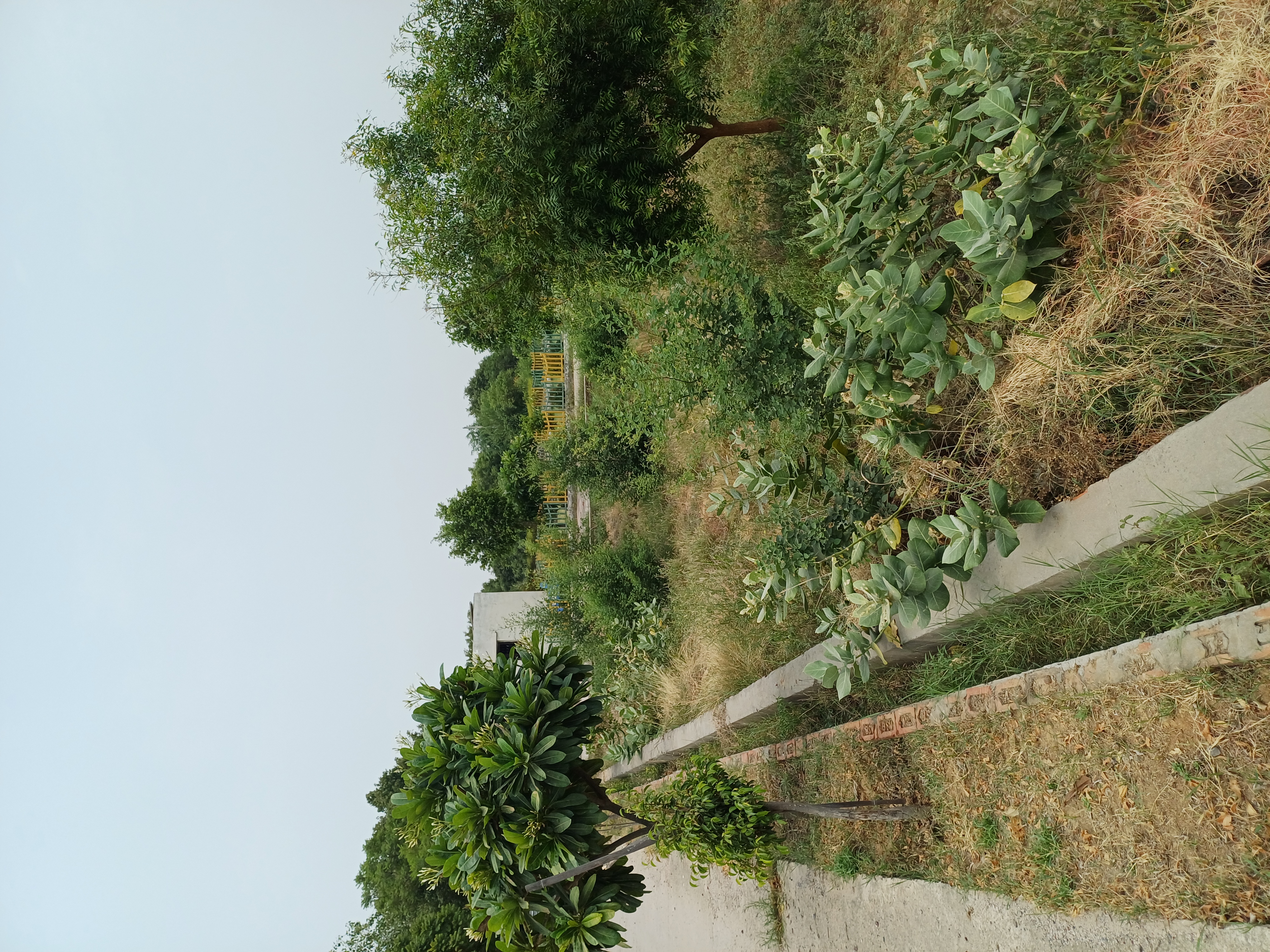 Plot For Sale in Harit City 