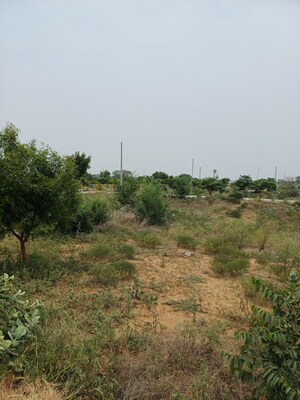  Plot – Garden View at Jewar - for Sale