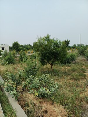 Plot – Garden View at Jewar - for Sale